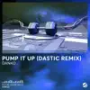 Danko & Dastic - Pump It Up (Dastic Remix) - Single